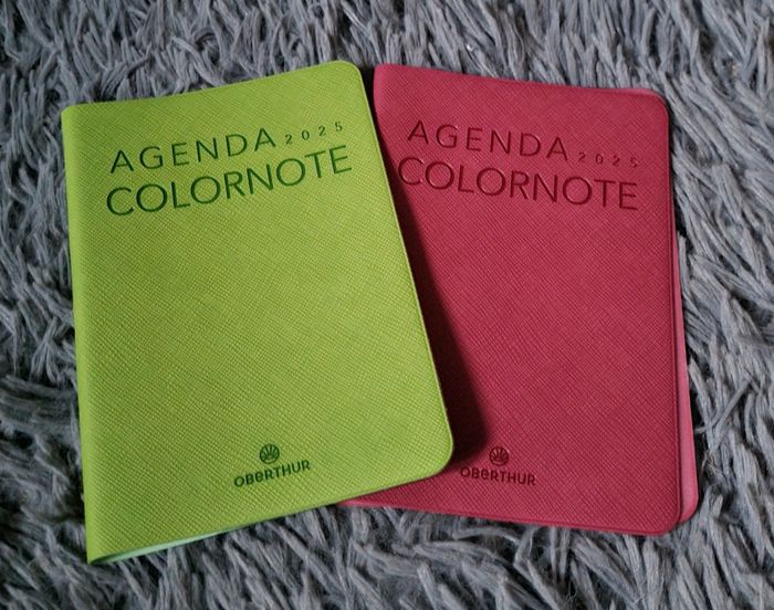 Lot 2 protèges cahier agendas
