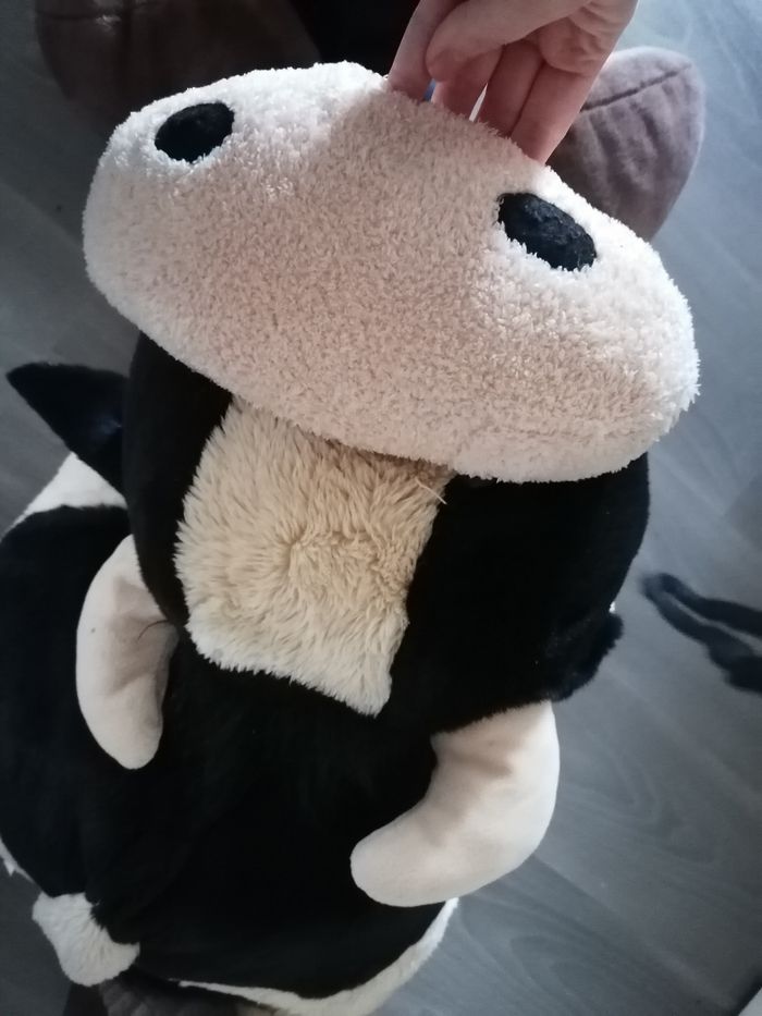 Livre Jeanne asbhe - photo numéro 2