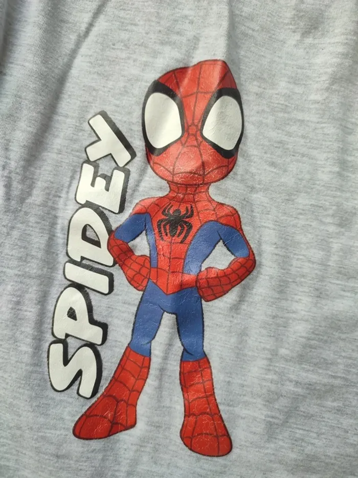 Dabrdeur Spidy et Miles - photo numéro 2