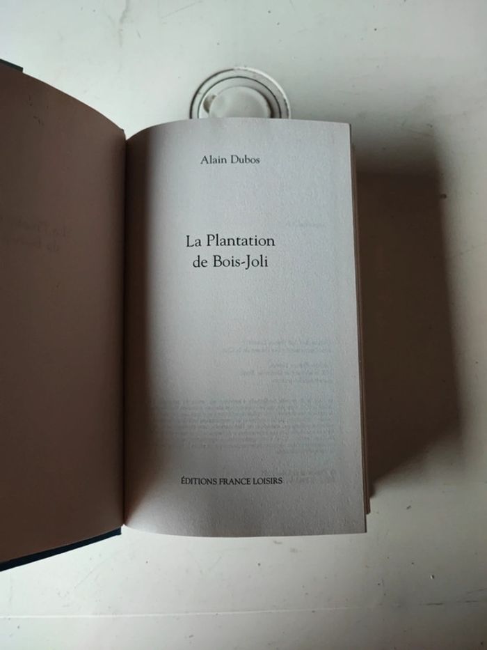 Livre la plantation de bois-joli - photo numéro 3