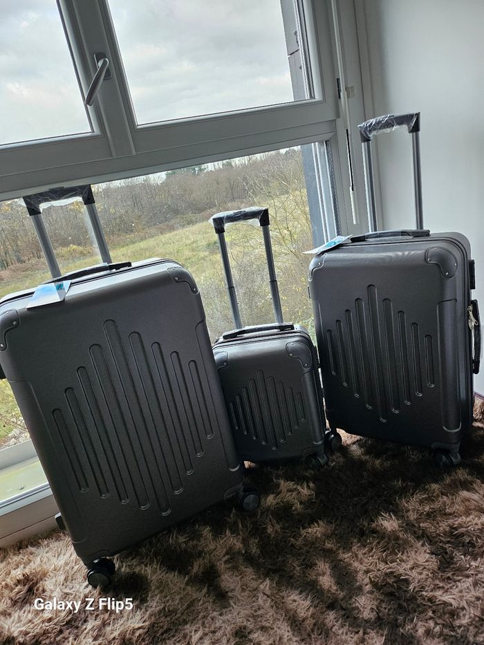 Vend le lot de 3 valise grise toute neuve dans carton - photo numéro 2