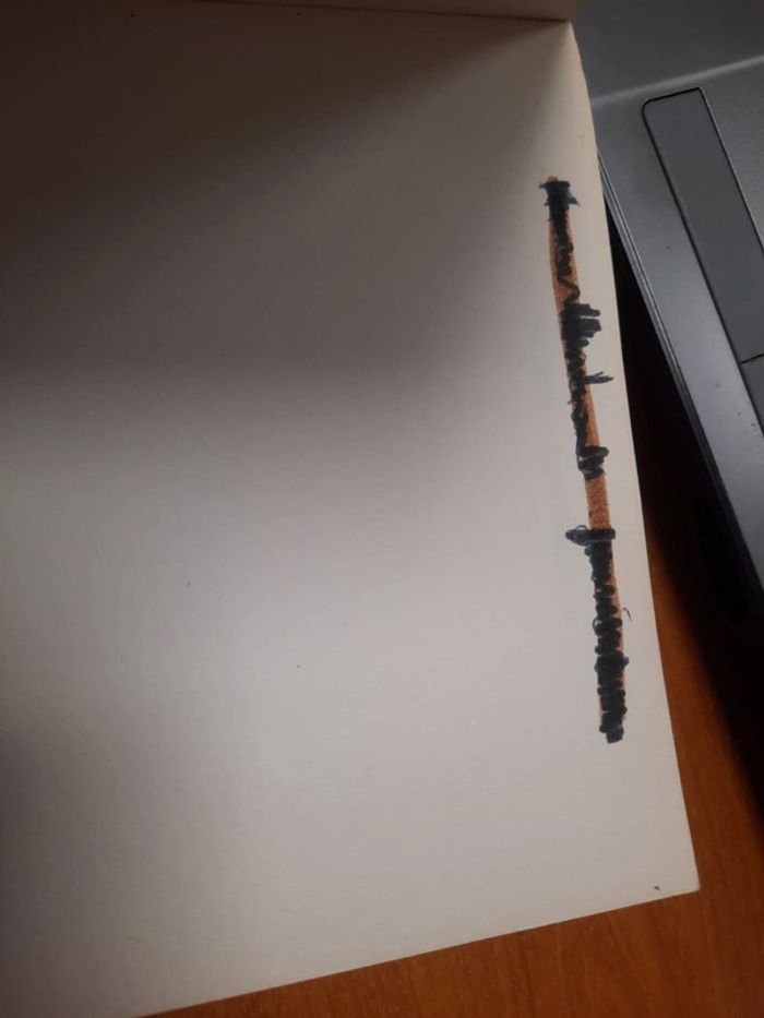 Livre Robert laffont la maison des enfants - photo numéro 7