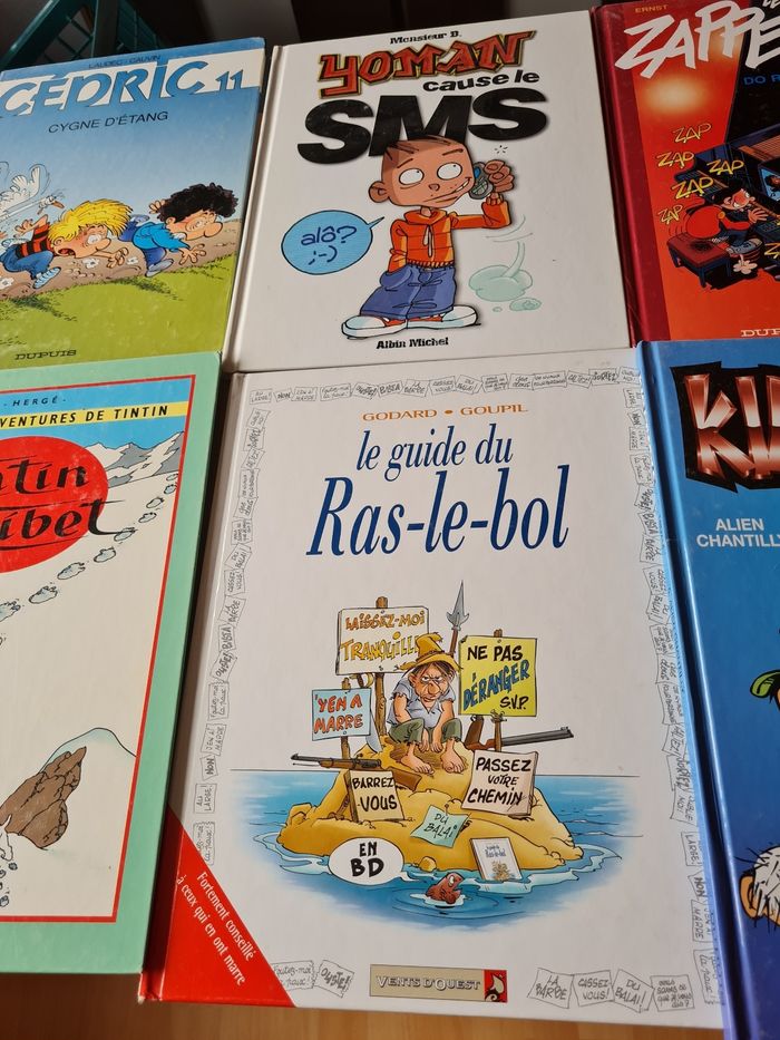 Bd au choix - photo numéro 5