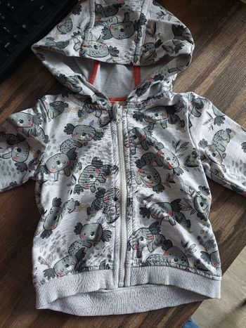 Sweat 9mois gilet a capuche