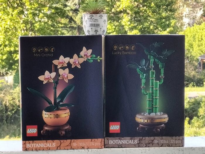 Lego bambou orchidée miniature et mini plante céramique
