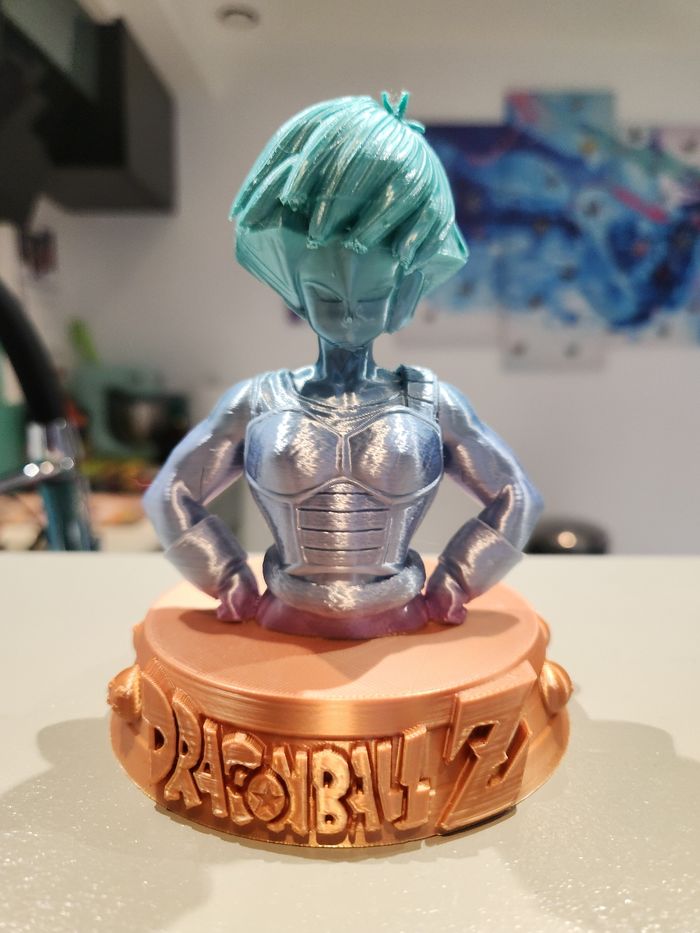 🔥 Figurine Dragon Ball Z – Selipa (Team Bardock) – Buste collector – Saiyan rare - photo numéro 7