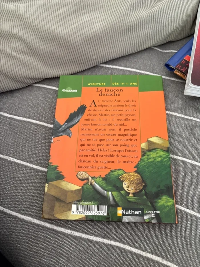 Livre le faucon déniché - photo numéro 6