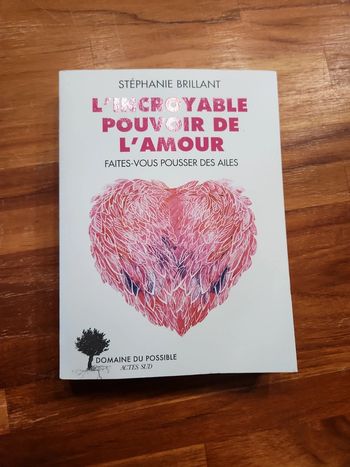 Livre: lincroyable pouvoir de l'amour