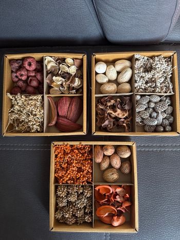 Décoration fleurs séchées