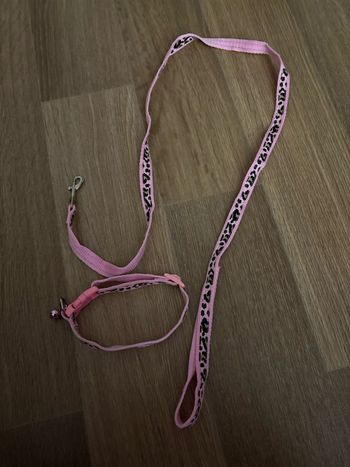 laisses  pour chien léopard