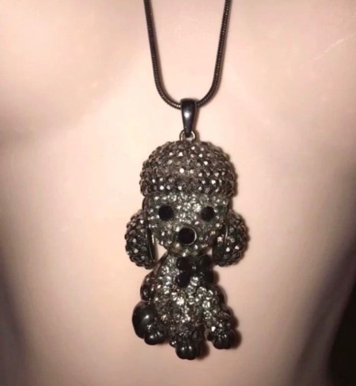 Collier chien