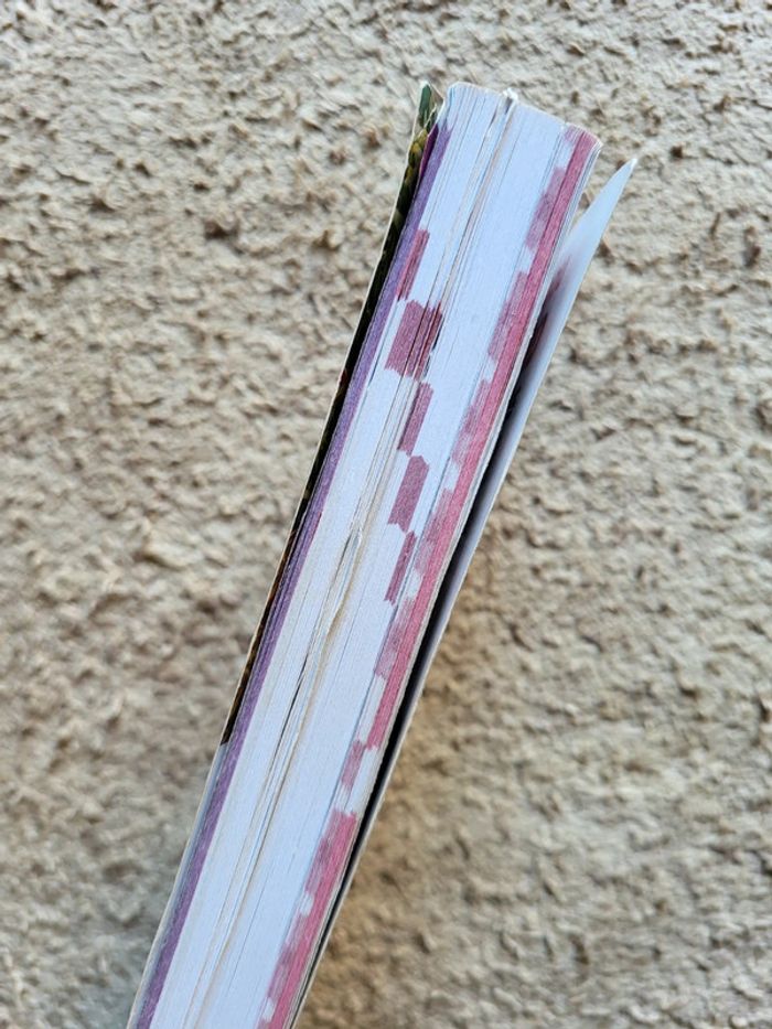 Guide du Routard sur le Sri Lanka - photo numéro 3