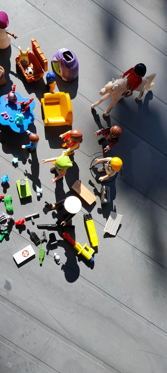 Lot Playmobil - photo numéro 5