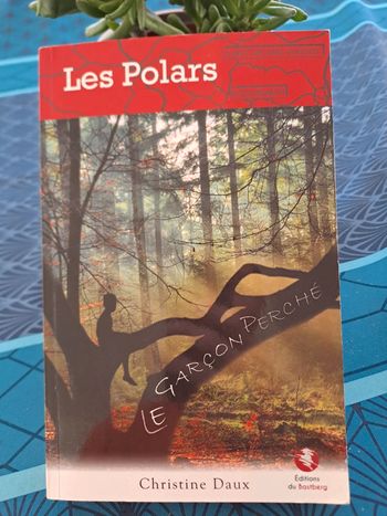 Livre Le Garçon Perché, Christine Daux