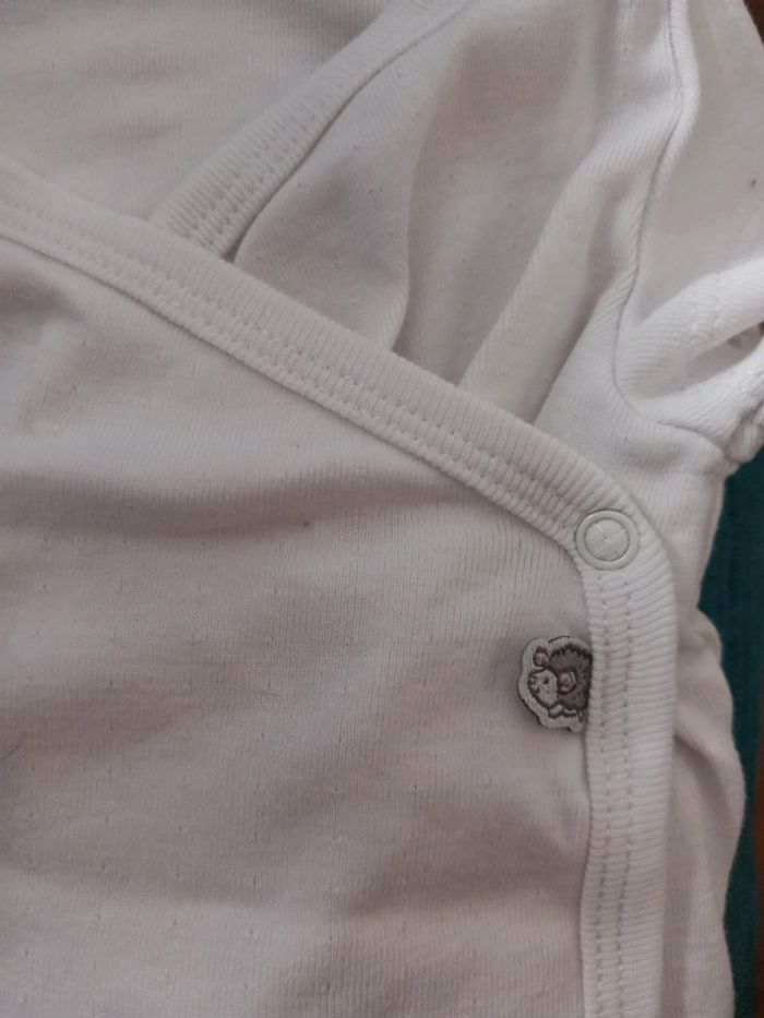 Lot bodies - photo numéro 2