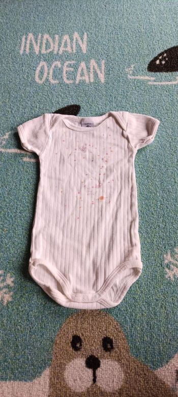 Bodie 6 mois