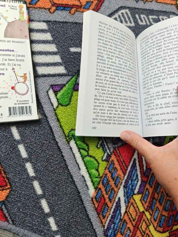 Livre les vacances du petit Nicolas - photo numéro 3