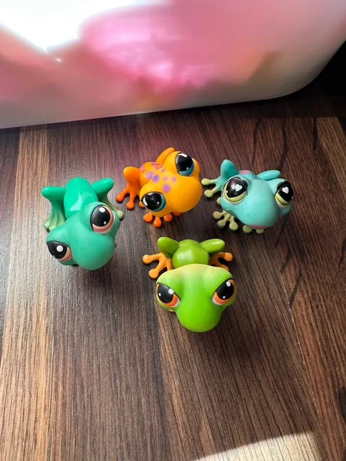 Petshop grenouilles