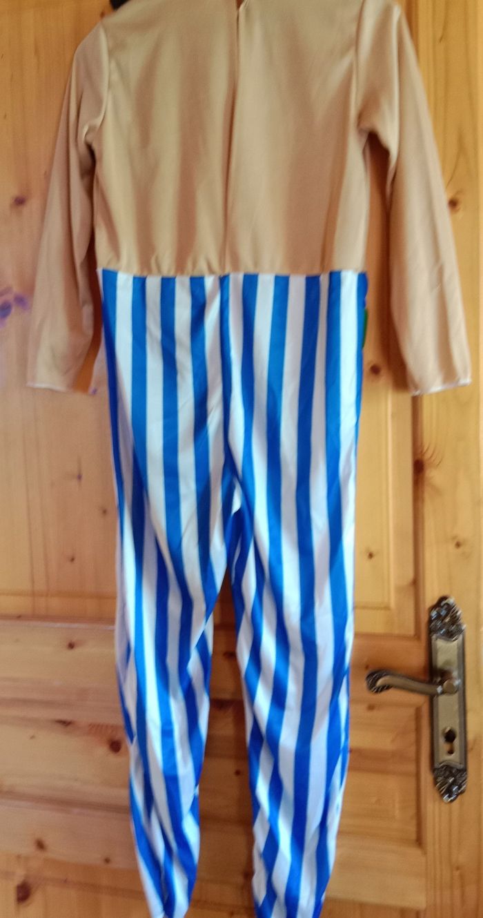 Déguisement Obelix - photo numéro 3