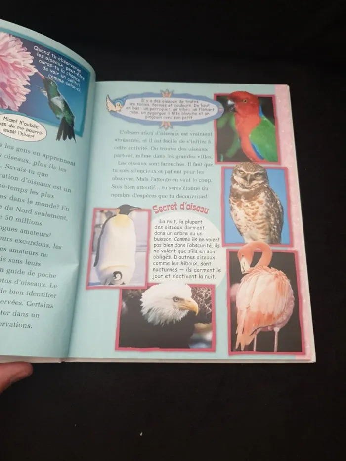 Livre "Mon album 2006 Disney" - photo numéro 2