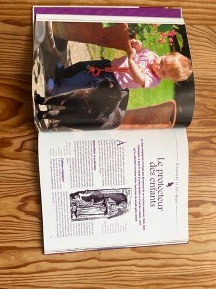 Un chat de légende - photo numéro 2