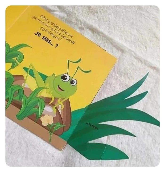 Livre bébé avec rabats - Mais qui est caché ? - photo numéro 3