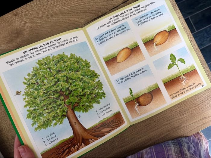 Livre L’Imagerie de la Nature Pour Enfants - photo numéro 11