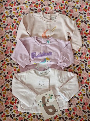 Sweats Licorne et gilet 6 mois