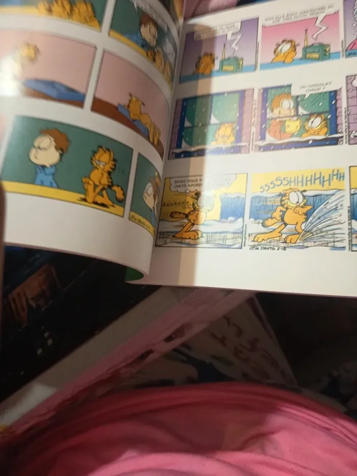 Garfield 21 - photo numéro 5