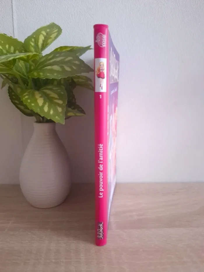 Livre Lolirock / Tome 1 : Le pouvoir de l'amitié - photo numéro 3