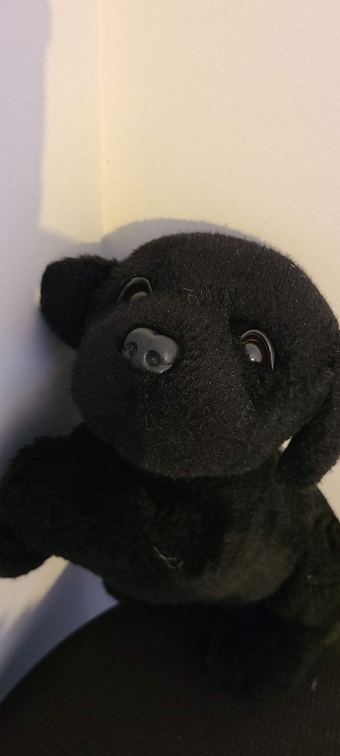 Doudou chien noir couché la pelucherie