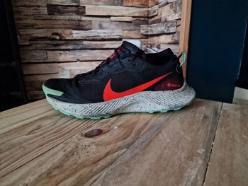 Baskets Pegasus Trail 3 GTX homme 42