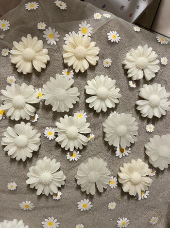Lot fleur marguerite