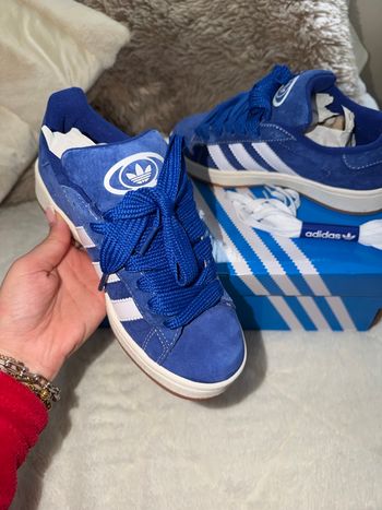 Campus Adidas bleu