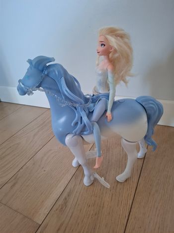Cheval d’eau reine des neiges