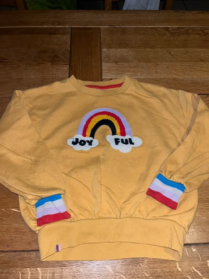 Pull palomino 10 ans