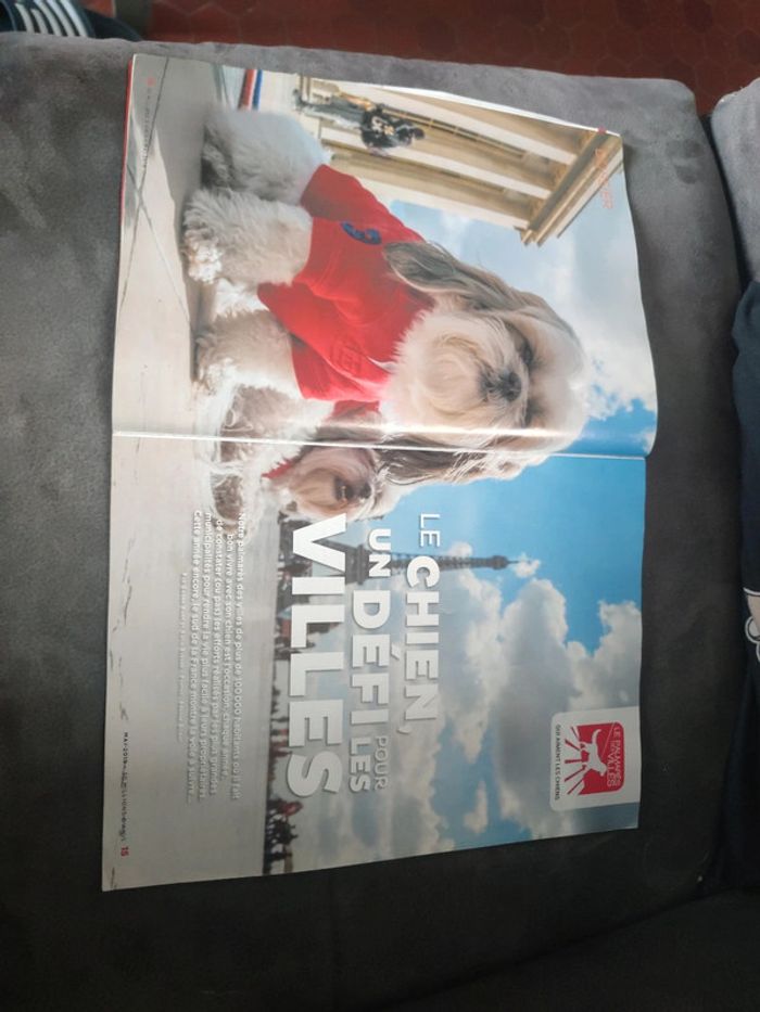 Magazine 30 millions d'amis numéro 373 mai 2019 - photo numéro 4