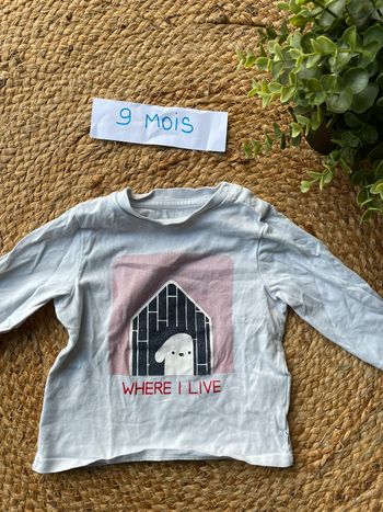 Tee-shirts 9 mois