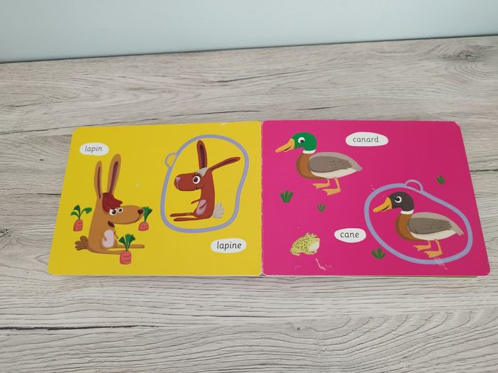 Lot de deux livres avec pièces détachées - photo numéro 4