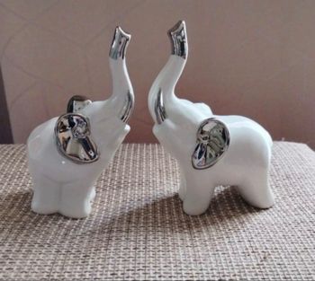 Couple d’éléphant