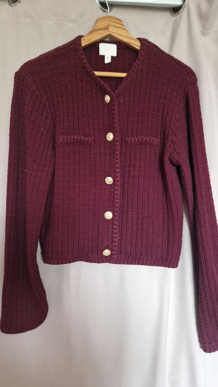 Veste cardigan bordeaux H&M