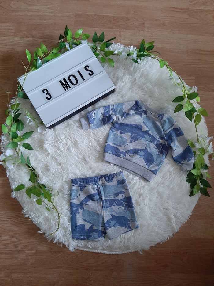 Ensemble dauphins 🐬 neuf - photo numéro 2