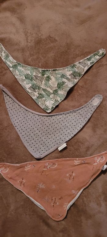 Lot de 3 bavoirs triangulaires