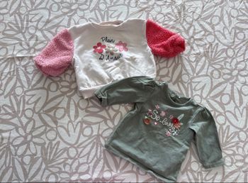 Lot 2 hauts manches longues orchestra 3mois 