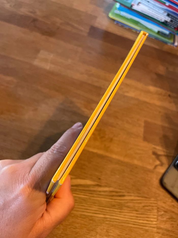 Livre Masha et Michka Masha Bienvenue Petit Panda ! - photo numéro 5