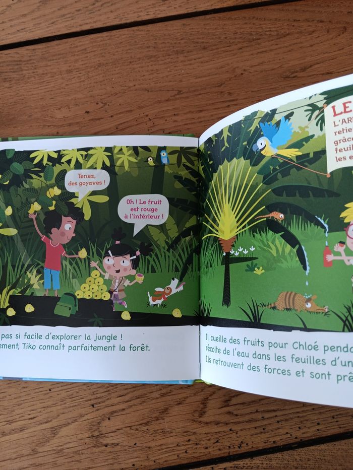 Livre Mac Donald pour enfant - photo numéro 4