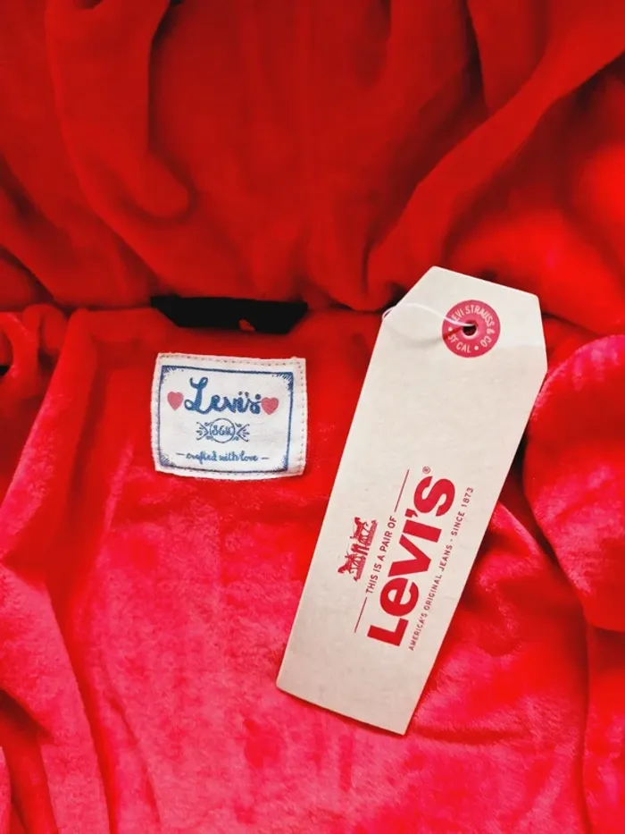 Levi's - Doudoune / veste / manteau doublé polaire, manches longues avec capuche - Neuve ! (3 ans) - photo numéro 5
