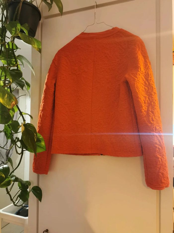 Veste rouge - photo numéro 2