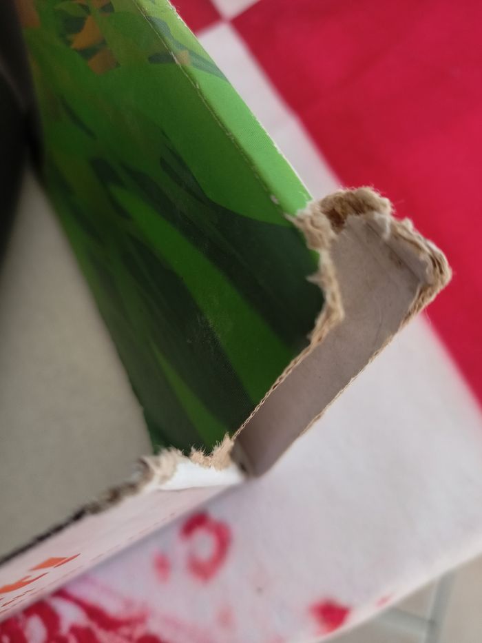 Switch ring fit adventure - photo numéro 7