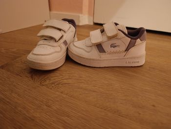 Basket Lacoste